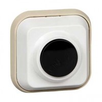 Wessen Выключатель кнопочный О/У (250В, 0,4А, для эл.звонков) A1-04-011-I фото