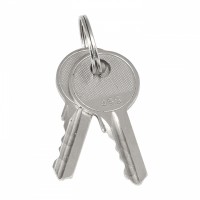 EKF Ключ для замка (арт. 18-20/38-ip31) PROxima key-1 фото
