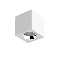 Varton Светильник LED Downlight квадратный накладной 125*135 20W 4000K V1-R0-00360-20000-2002040 фото