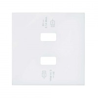 Simon 100 Белый матовый Накладка для 2-х зарядных устройств USB SmartCharge 10001196-230 фото