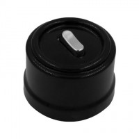 BIRONI Лизетта Пластик Черный Выключатель 1-кл (клавишный), ручка Серебро B1-220-23-S фото