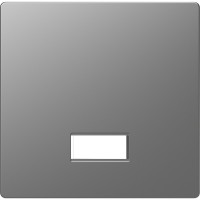 Merten D-Life нержавеющая сталь Клавиша с полем для символа MTN3350-6036 фото