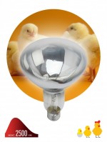 ЭРА FITO Лампы тип цоколя E27  ЭРА Инфракрасная лампа ИКЗ 220-250 R127 E27 Б0042991 фото