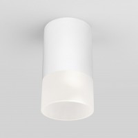 Elektrostandard Light LED 2106 (35139/H) белый Уличный светильник a057157 фото