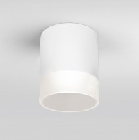 Elektrostandard Light LED 2107 (35140/H) белый Уличный светильник a057160 фото