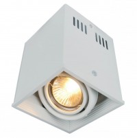 Arte Lamp Светильник потолочный CARDANI A5942PL-1WH A5942PL-1WH фото