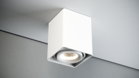 Quest Light Светильник накладной, поворотный, белый, под лампу GU10, IP20 CASTLE 1 ED white CASTLE 1 ED white фото