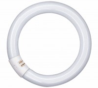 Osram Лампа кольцевая люминесцентная LUMILUX T9 L 40W/840 C холод. белый, d=29mm G10Q 4050300014845 фото