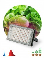 ЭРА Фитопрожектор для растений светодиодный FITO-80W-RB-LED-Y красно-синего спектра Б0053082 фото