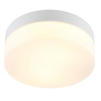 Arte Lamp AQUA-TABLET Светильник потолочный лампа накаливания A6047PL-1WH фото