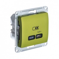 Glossa фисташковый USB розетка тип-C 65W высокоскоростная зарядка QC, PD, механизм GSL001027 фото