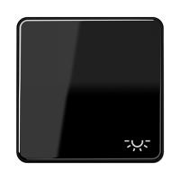 Jung CD 500 plus Черный Клавиша 1-я с символом ОСВЕЩЕНИЕ CD590LSW фото