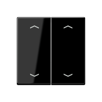 Jung А 500 Черный Клавиша для двойной кнопки BCU нейтрал.положения с символами A595MPSW фото