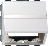 Gira S-55 Бел глянц Накладка с опорной пласт для розеток средств связи, с шильдиком 087003 фото