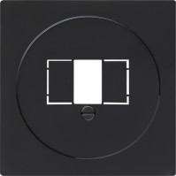 Gira S-Color Черный Накладка ТЛФ розетки TAE, аудиорозетки(110910),USB (107000) с шильдиком 027647 фото