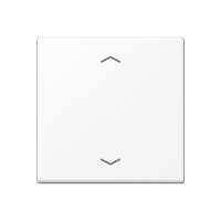 JUNG A Flow/A 550 Белый матовый Центральная плата стандарт с символами «стрелки» A1700BFPWWM фото