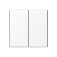 JUNG A Flow/A 550 Белый матовый Клавиша для KNX кнопки, 2 группы A102BFWWM фото