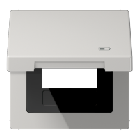 Jung Рамка с подпружиненной крышкой для USB-механизмов, с центральной платой, светло-серый LS990BFKLUSBLG фото