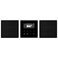 Jung Смарт радио DAB+, стерео черный DABLS2SW фото