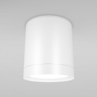 Maytoni Ceiling & Wall Hoop Потолочный светильник Белый C086CM-GX53-MRD-W фото