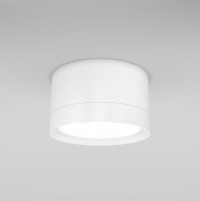 Maytoni Ceiling & Wall Hoop Потолочный светильник Белый C086CL-GX53-SRD-W фото