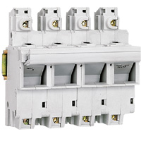 Legrand Выключатель-разъединитель SP 58 3П+нейтраль 8 модулей для промышленных предохранителей 22х58 021605 фото