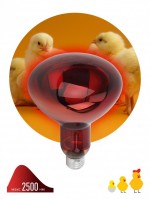 ЭРА Инфракрасная лампа ИКЗК 220-250 R127, кратность 1 шт. для обогрева животных и освещения, 250 Вт, Е27 Б0055442 фото