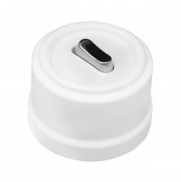 BIRONI Лизетта Пластик Белый Выключатель кнопочный 1-клавишный (клавишный), ручка Серебро B1-220-21-S-PB фото