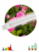 ЭРА Светильник для растений, фитолампа светодиодная линейная ЭРА FITO-10W-Т5-Ra90-Slim полного спектра 10 Вт Т5 Б0057400 фото