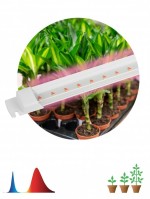 ЭРА Светильник для растений, фитолампа светодиодная линейная ЭРА FITO-10W-Т5-RB-Slim красно-синего спектра 10 Вт Т5 Б0057401 фото
