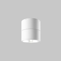 Maytoni Outdoor Потолочный светильник Белый O310CL-L7W3K фото